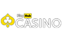 Playhub Casino Logo