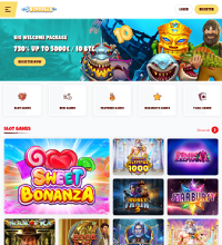 5Bonuses Casino Screenshot