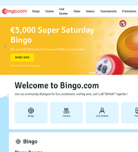 Bingo.com Screenshot