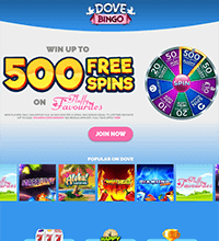 Dove Bingo Casino Screenshot