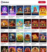 Ninbet Casino Screenshot